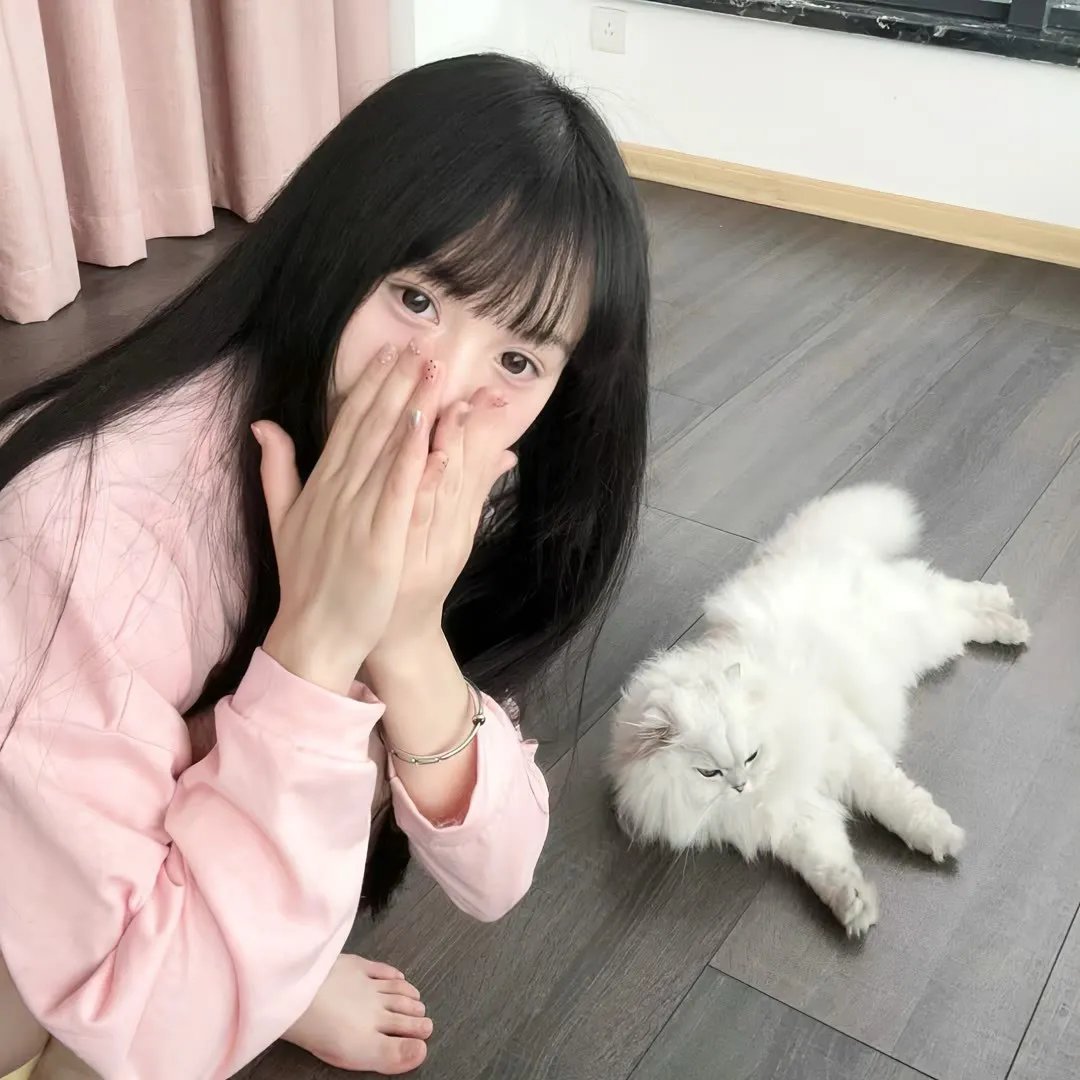 飞龙引凤